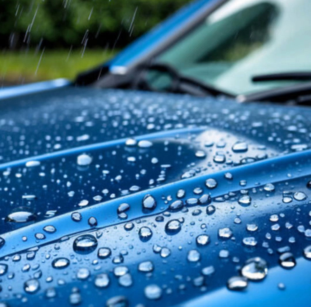 5-Year Ceramic Coating